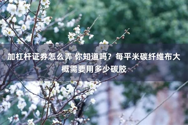 加杠杆证券怎么弄 你知道吗？每平米碳纤维布大概需要用多少碳胶
