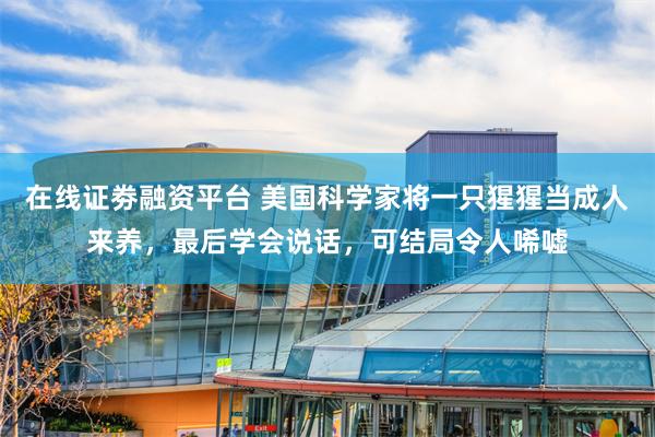在线证劵融资平台 美国科学家将一只猩猩当成人来养，最后学会说话，可结局令人唏嘘