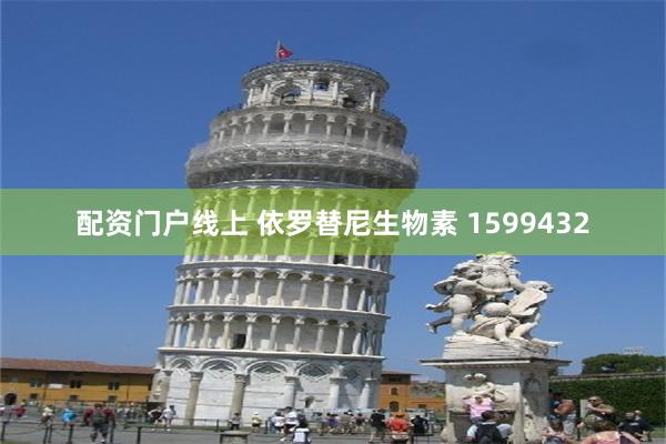 配资门户线上 依罗替尼生物素 1599432