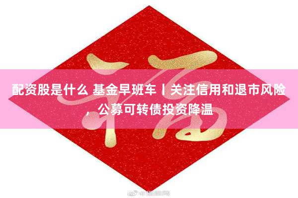 配资股是什么 基金早班车丨关注信用和退市风险，公募可转债投资降温