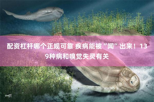 配资杠杆哪个正规可靠 疾病能被“闻”出来！139种病和嗅觉失灵有关