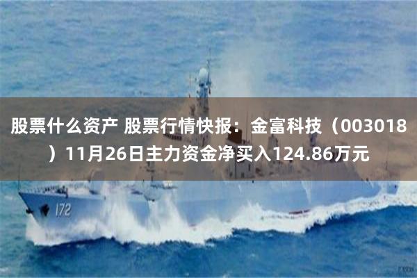 股票什么资产 股票行情快报：金富科技（003018）11月26日主力资金净买入124.86万元
