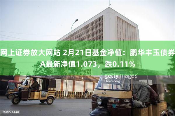 网上证劵放大网站 2月21日基金净值：鹏华丰玉债券A最新净值1.073，跌0.11%