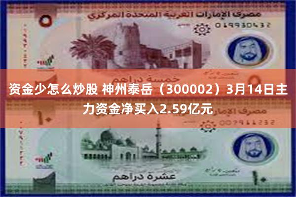 资金少怎么炒股 神州泰岳（300002）3月14日主力资金净买入2.59亿元