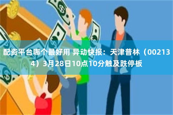 配资平台哪个最好用 异动快报：天津普林（002134）3月28日10点10分触及跌停板