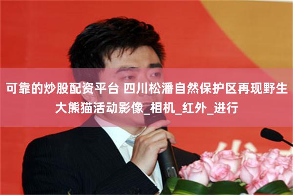 可靠的炒股配资平台 四川松潘自然保护区再现野生大熊猫活动影像_相机_红外_进行