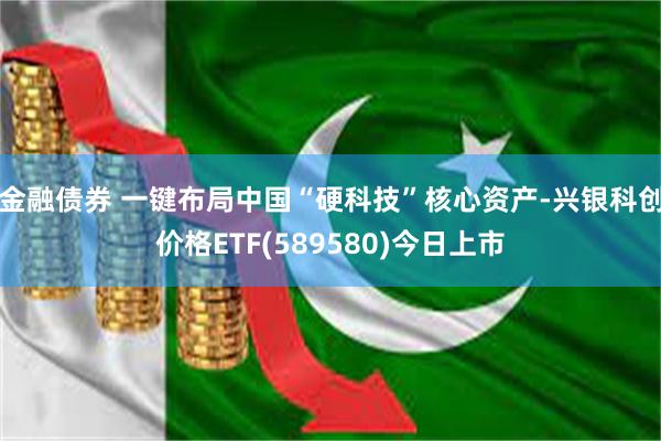 金融债券 一键布局中国“硬科技”核心资产-兴银科创价格ETF(589580)今日上市