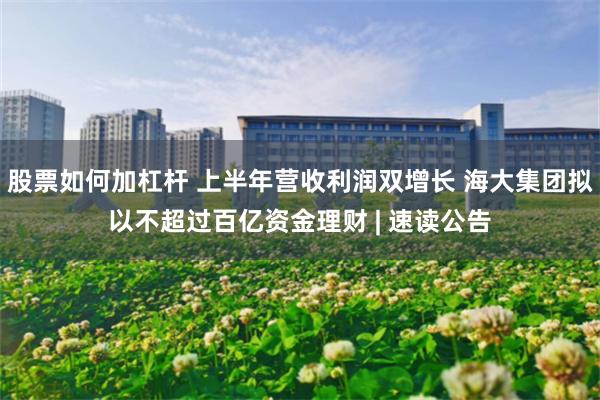 股票如何加杠杆 上半年营收利润双增长 海大集团拟以不超过百亿资金理财 | 速读公告