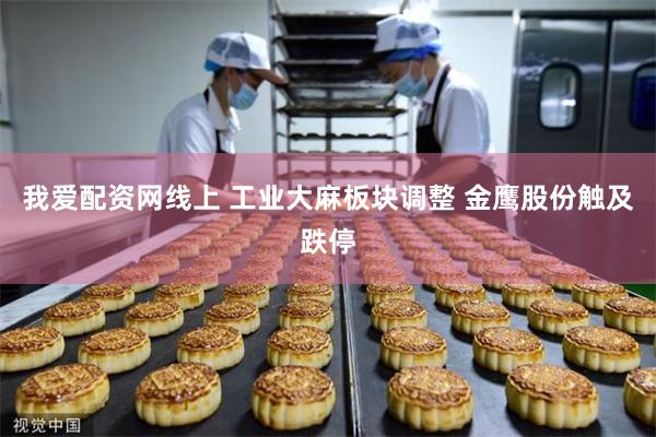 我爱配资网线上 工业大麻板块调整 金鹰股份触及跌停